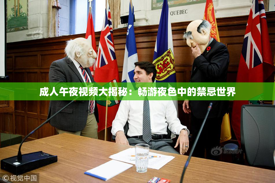 成人午夜视频大揭秘：畅游夜色中的禁忌世界