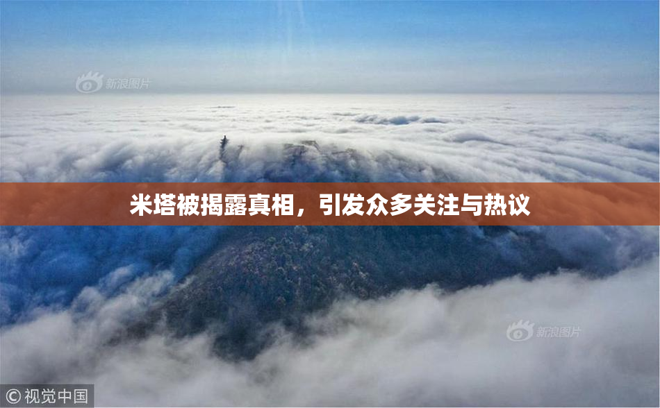 米塔被揭露真相，引发众多关注与热议