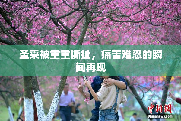 圣采被重重撕扯，痛苦难忍的瞬间再现