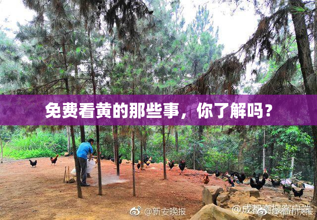 免费看黄的那些事，你了解吗？