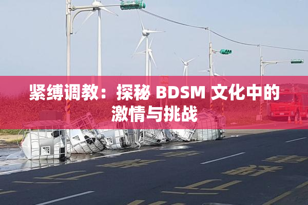 紧缚调教：探秘 BDSM 文化中的激情与挑战
