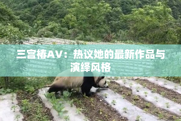 三宫椿AV：热议她的最新作品与演绎风格