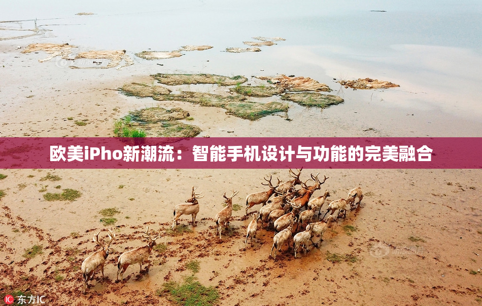 欧美iPho新潮流：智能手机设计与功能的完美融合