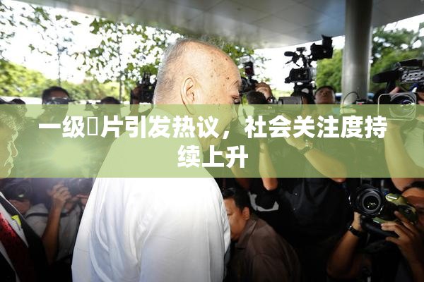 一级婬片引发热议，社会关注度持续上升
