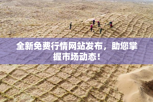 全新免费行情网站发布，助您掌握市场动态！