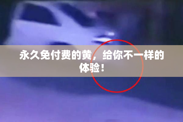 永久免付费的黄，给你不一样的体验！
