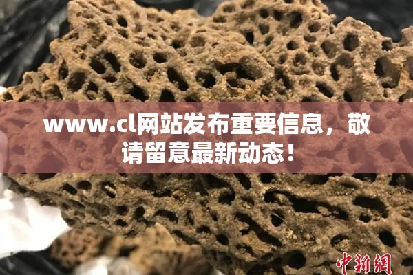 www.cl网站发布重要信息，敬请留意最新动态！