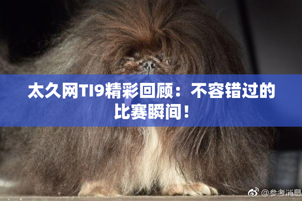 太久网TI9精彩回顾：不容错过的比赛瞬间！