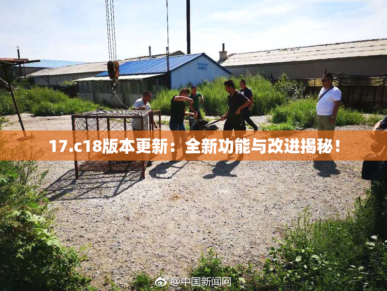 17.c18版本更新：全新功能与改进揭秘！