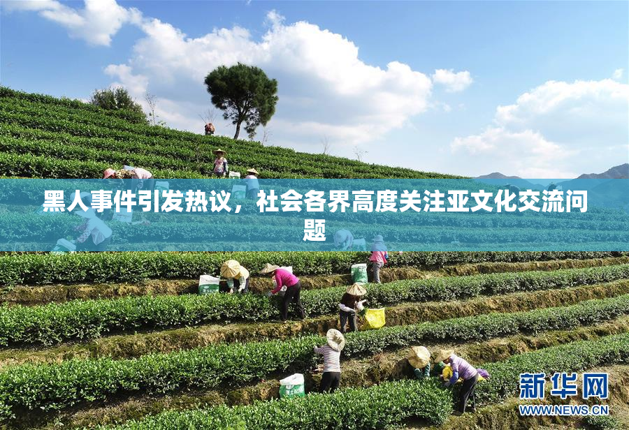 黑人事件引发热议，社会各界高度关注亚文化交流问题