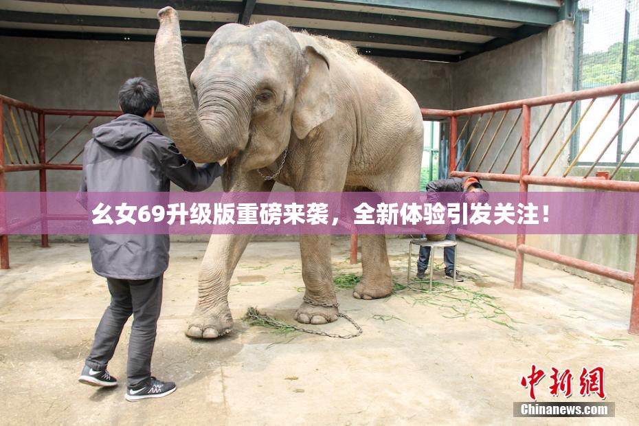 幺女69升级版重磅来袭，全新体验引发关注！