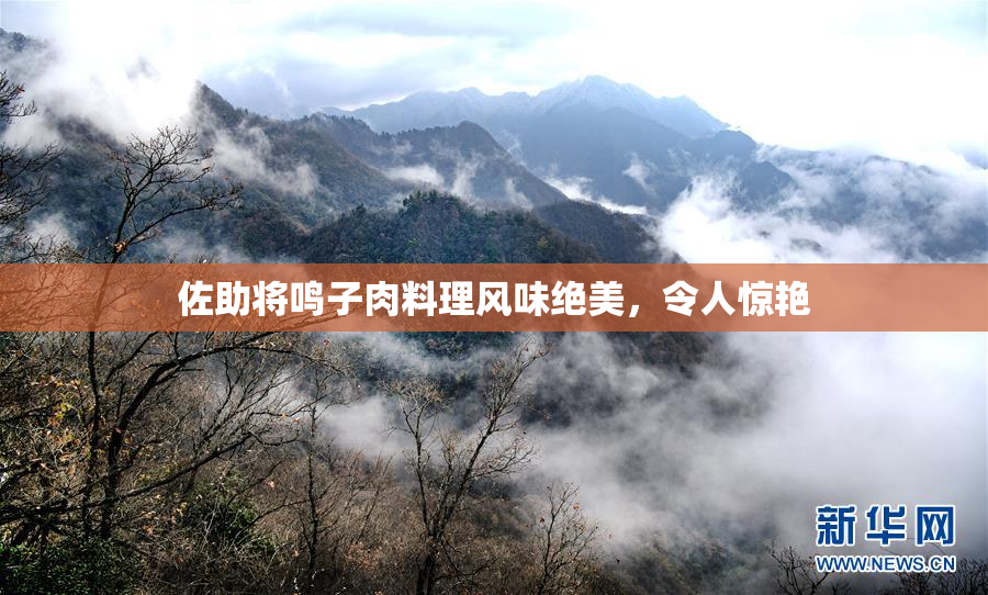 佐助将鸣子肉料理风味绝美，令人惊艳