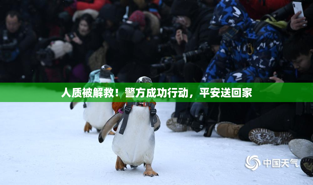 人质被解救！警方成功行动，平安送回家