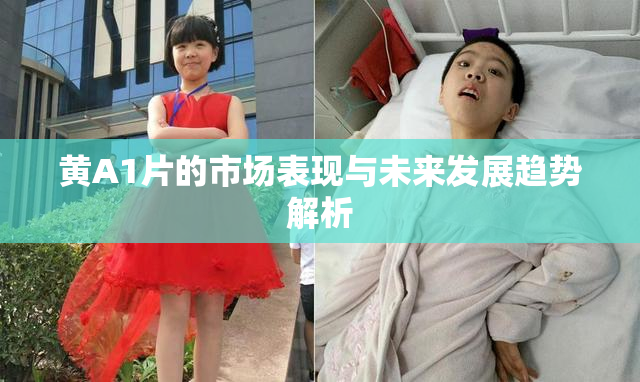 黄A1片的市场表现与未来发展趋势解析