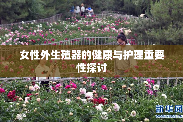 女性外生殖器的健康与护理重要性探讨