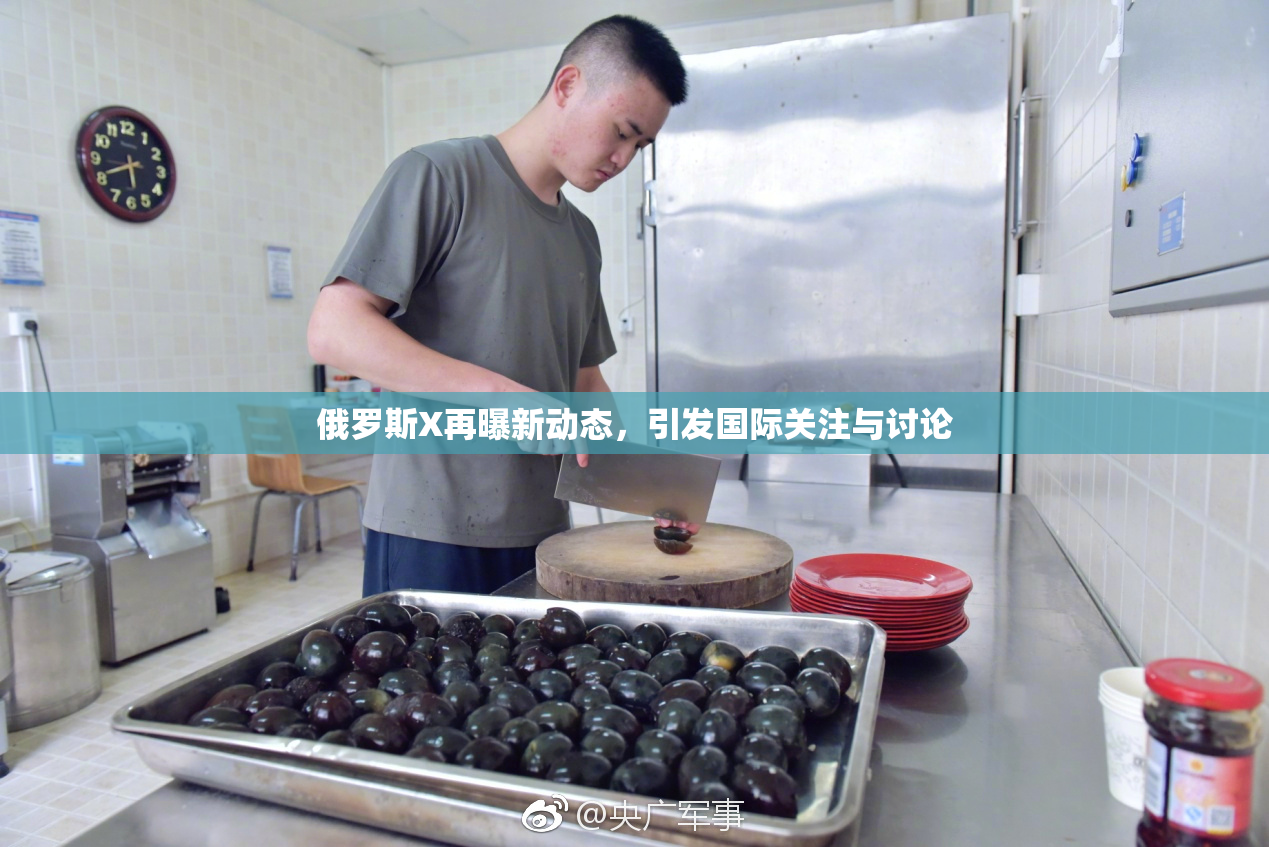 俄罗斯X再曝新动态，引发国际关注与讨论