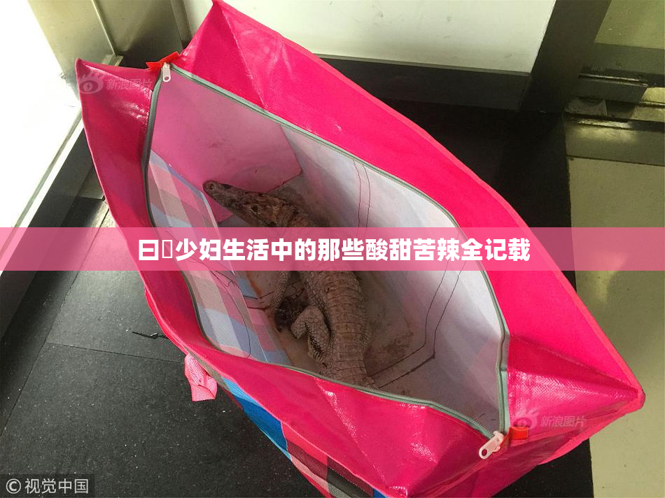 曰夲少妇生活中的那些酸甜苦辣全记载