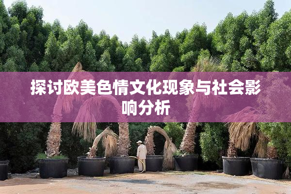 探讨欧美色情文化现象与社会影响分析