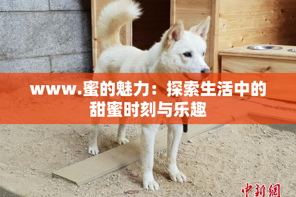 www.蜜的魅力：探索生活中的甜蜜时刻与乐趣
