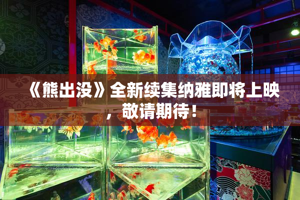 《熊出没》全新续集纳雅即将上映，敬请期待！