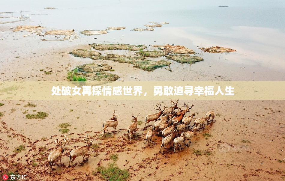 处破女再探情感世界，勇敢追寻幸福人生
