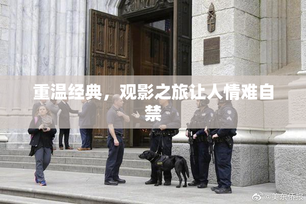 重温经典，观影之旅让人情难自禁