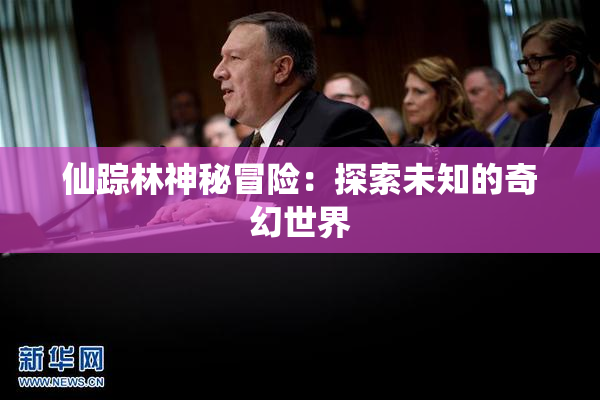 仙踪林神秘冒险：探索未知的奇幻世界