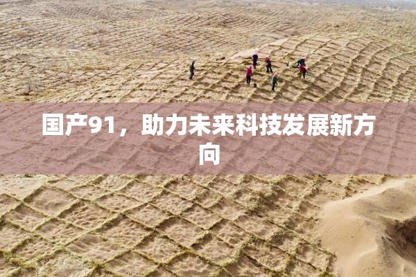 国产91，助力未来科技发展新方向