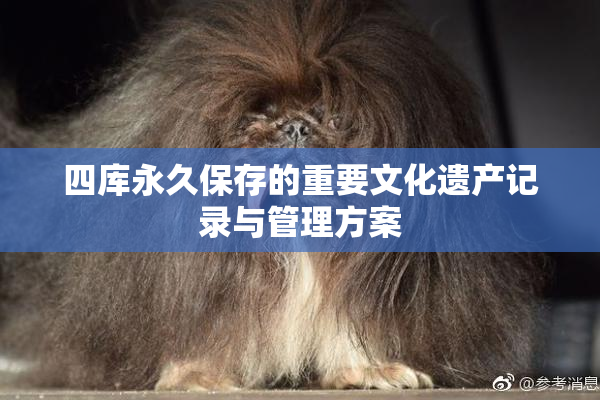 四库永久保存的重要文化遗产记录与管理方案