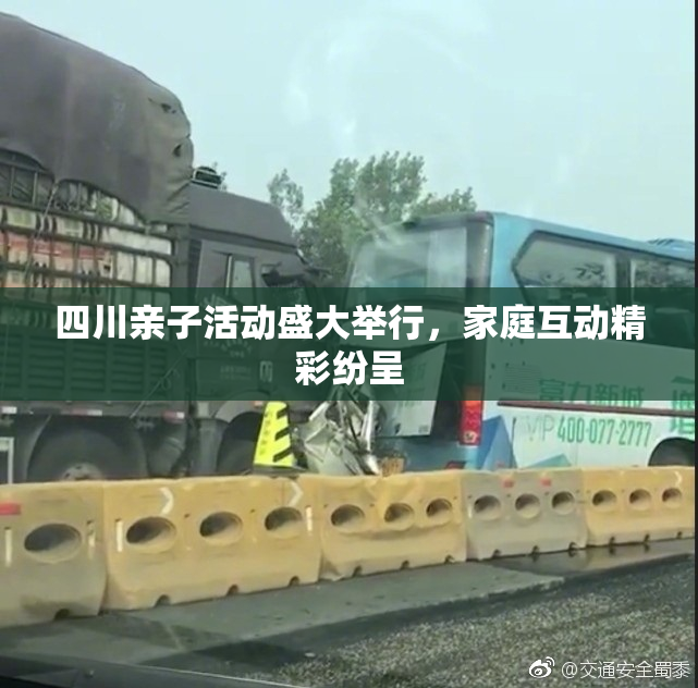 四川亲子活动盛大举行，家庭互动精彩纷呈