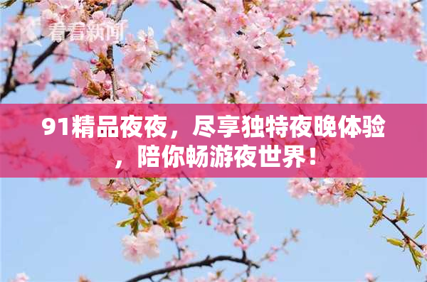 91精品夜夜，尽享独特夜晚体验，陪你畅游夜世界！