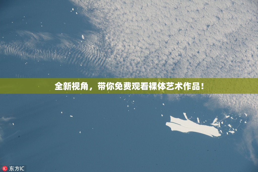 全新视角，带你免费观看裸体艺术作品！