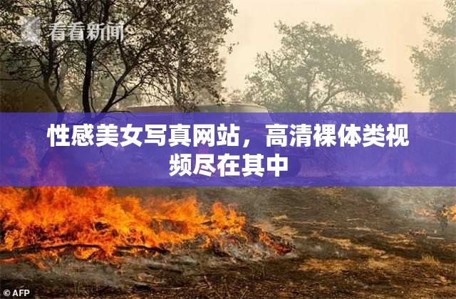 性感美女写真网站，高清裸体类视频尽在其中