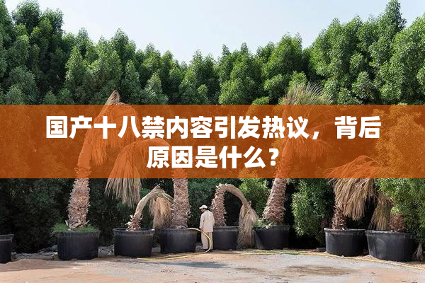 国产十八禁内容引发热议，背后原因是什么？