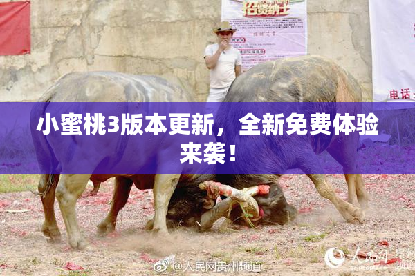 小蜜桃3版本更新，全新免费体验来袭！