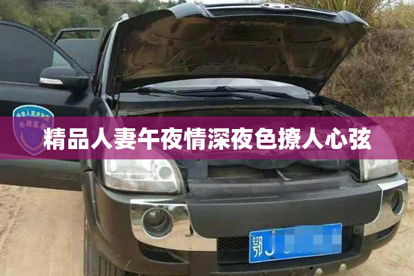 精品人妻午夜情深夜色撩人心弦
