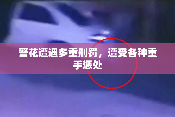 警花遭遇多重刑罚，遭受各种重手惩处