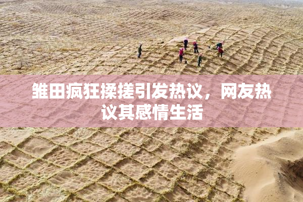 雏田疯狂揉搓引发热议，网友热议其感情生活