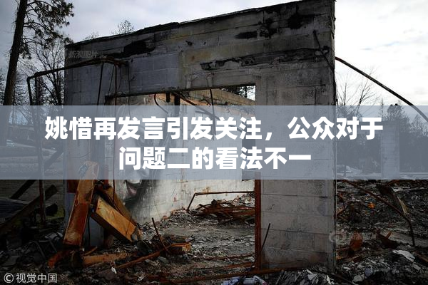 姚惜再发言引发关注，公众对于问题二的看法不一