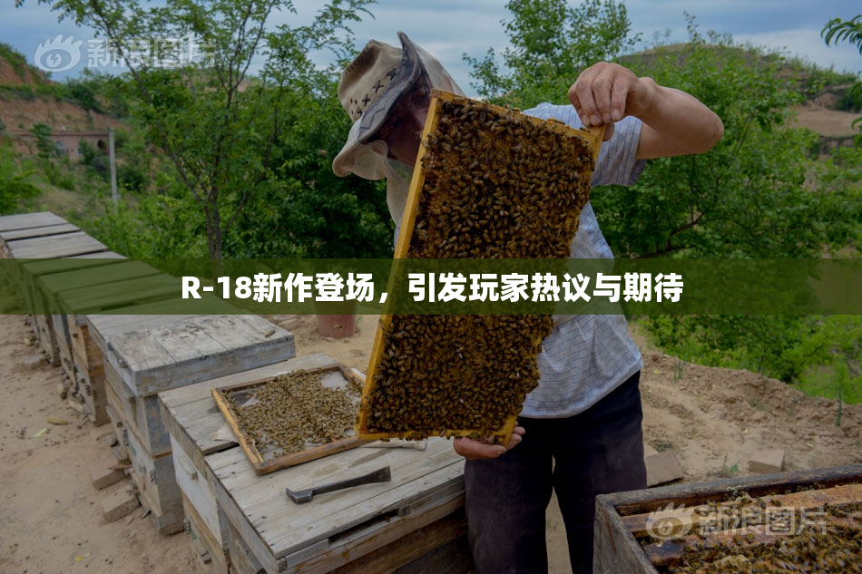 R-18新作登场，引发玩家热议与期待