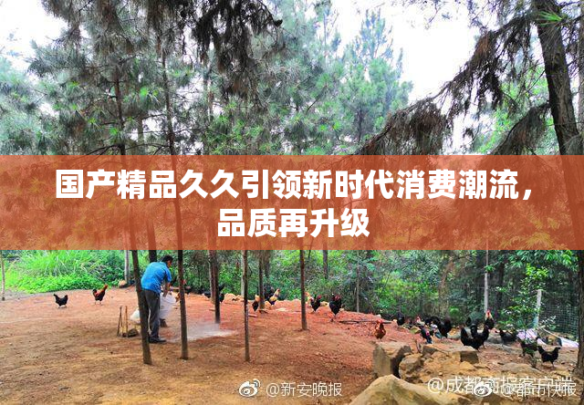 国产精品久久引领新时代消费潮流，品质再升级
