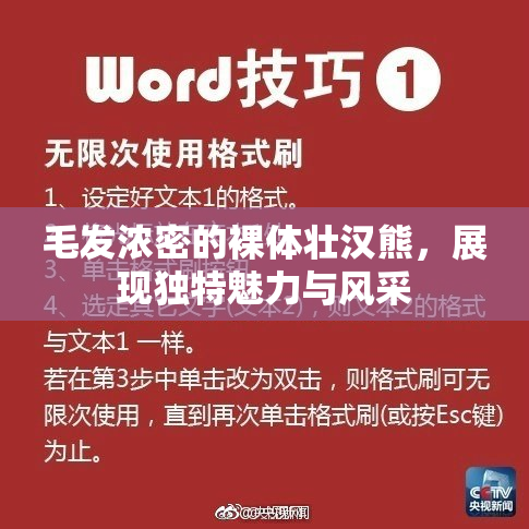 毛发浓密的裸体壮汉熊，展现独特魅力与风采