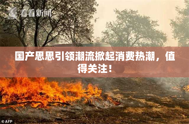 国产思思引领潮流掀起消费热潮，值得关注！