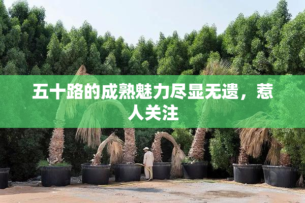 五十路的成熟魅力尽显无遗，惹人关注