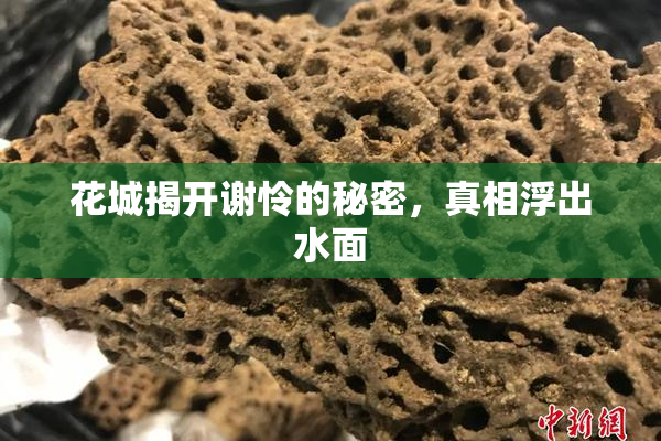 花城揭开谢怜的秘密，真相浮出水面