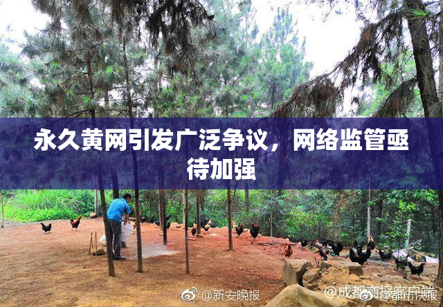 永久黄网引发广泛争议，网络监管亟待加强
