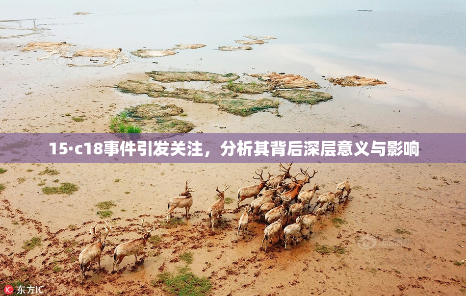 15·c18事件引发关注，分析其背后深层意义与影响