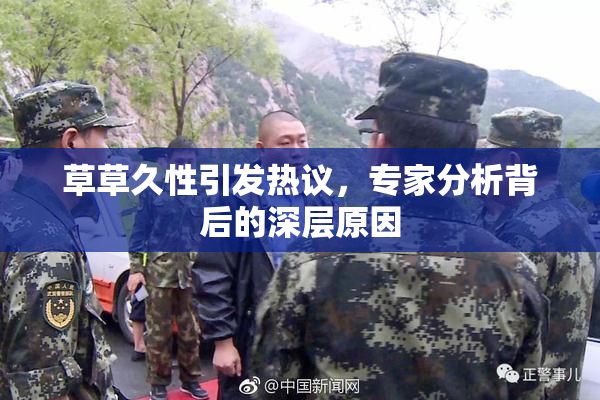 草草久性引发热议，专家分析背后的深层原因
