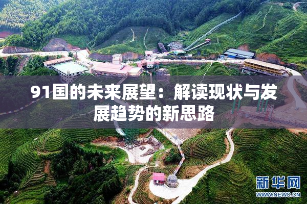 91国的未来展望：解读现状与发展趋势的新思路