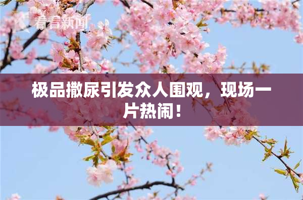 极品撒尿引发众人围观，现场一片热闹！